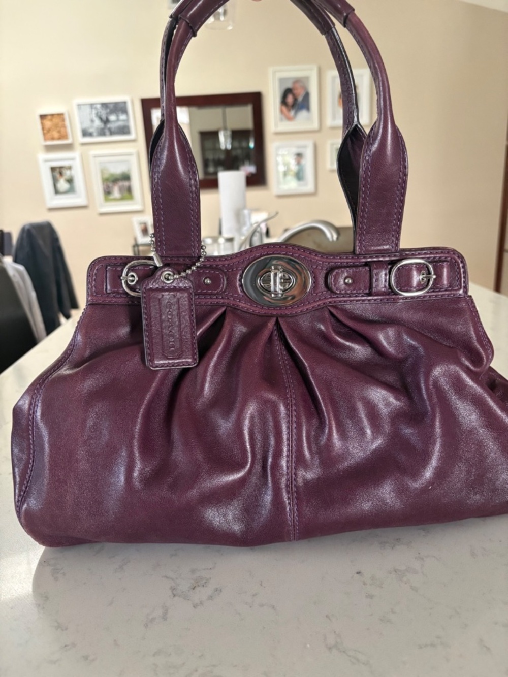 Coach Garnet Plum Pleated Leather Satchel Bag
